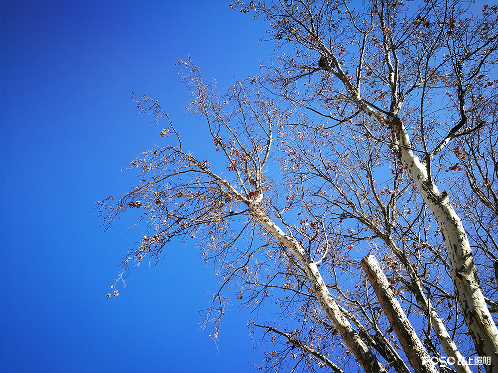 CgoKCF0VcFzxZoUAABGWou-y9CA177 CgoKCF0VcFzxZoUAABGWou-y9CA177